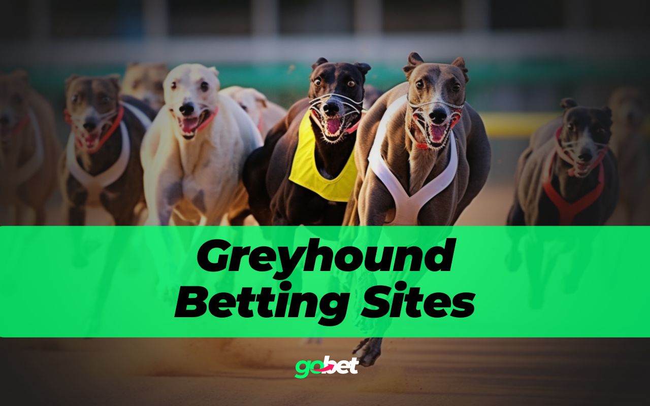 gobet greyhound betting sites gobet greyhound betting sites