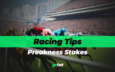 gobet preakness stakes tips
