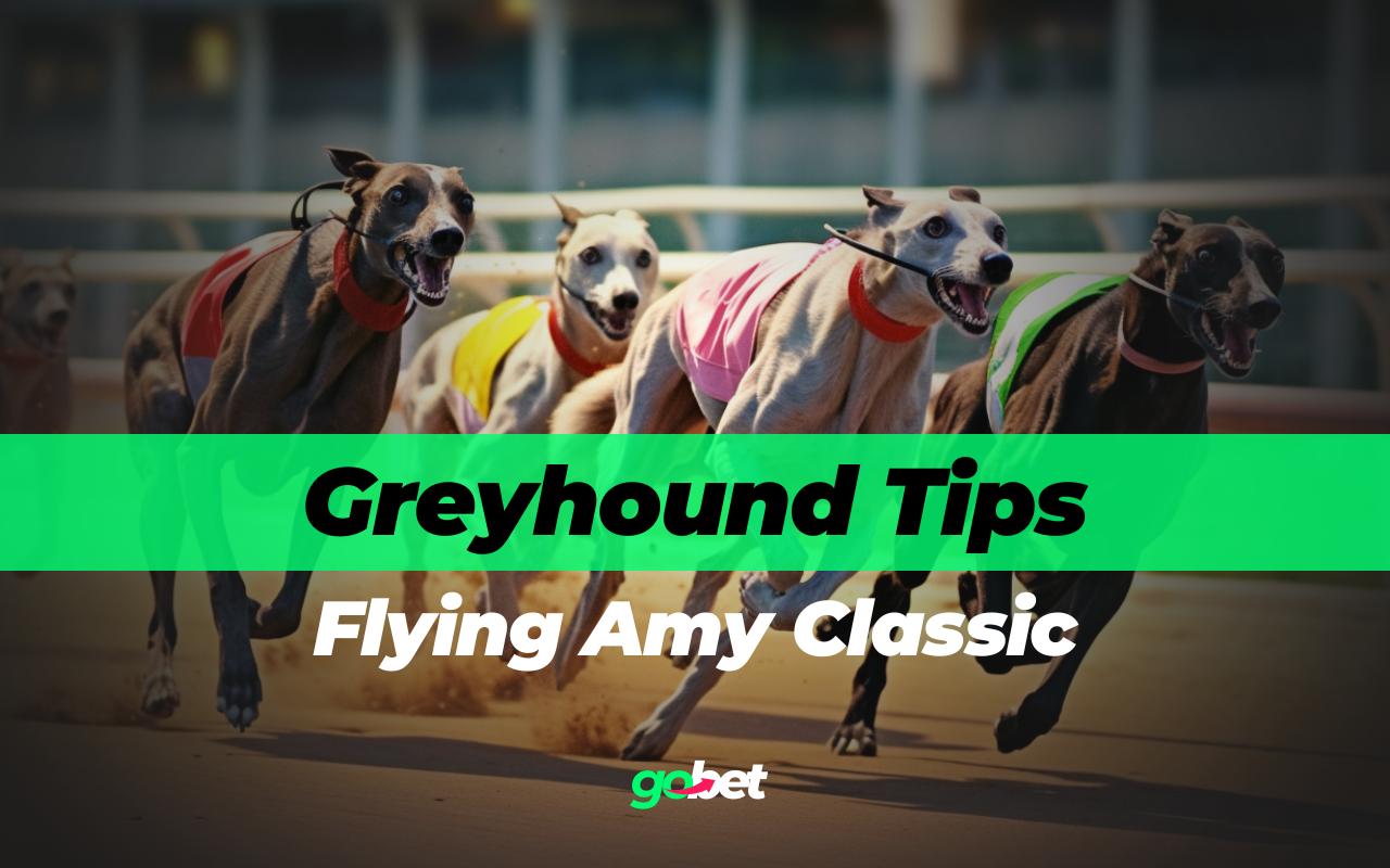 gobet flying amy classic tips