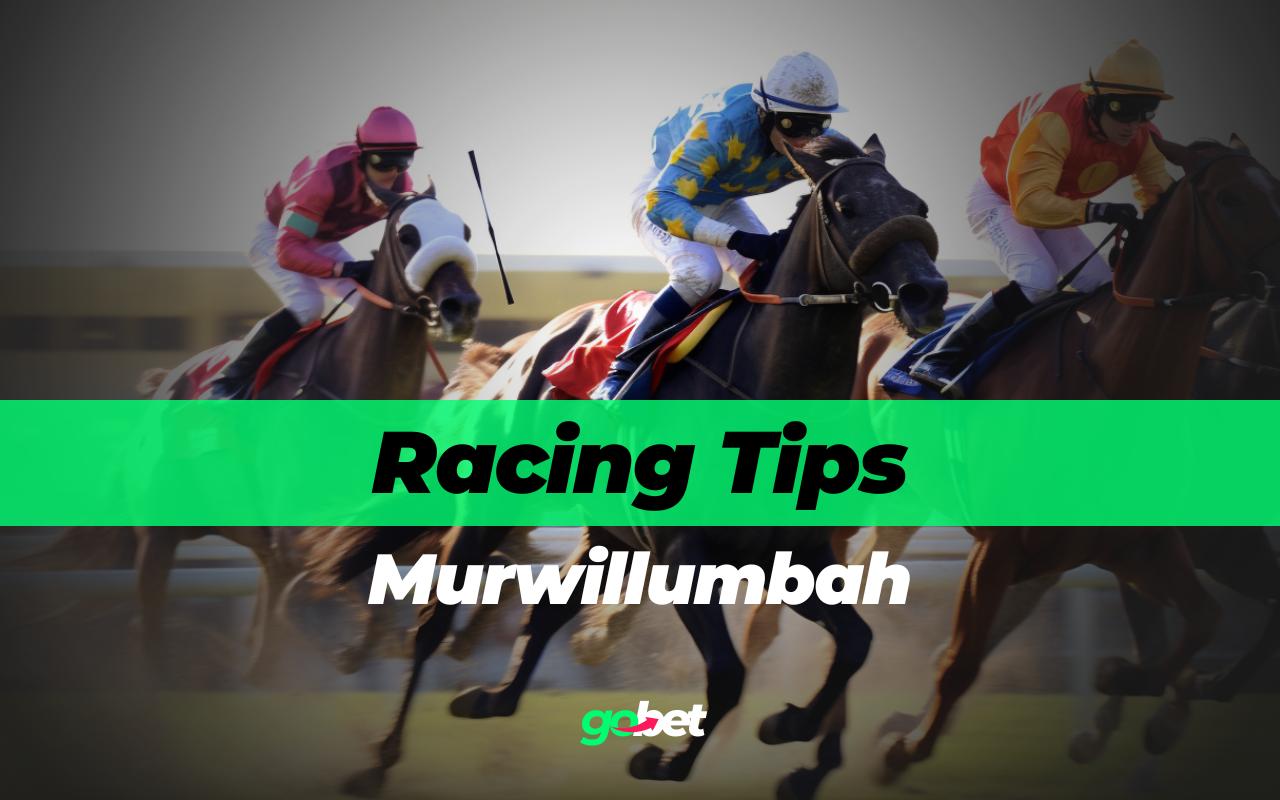 gobet murwillumbah racing tips