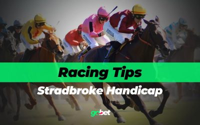 gobet stradbroke handicap tips