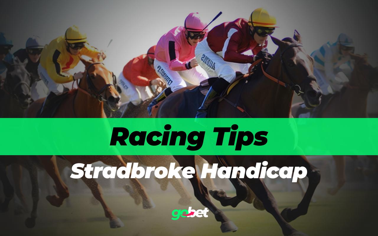 gobet stradbroke handicap tips