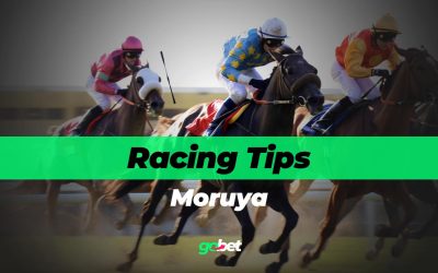gobet moruya racing tips
