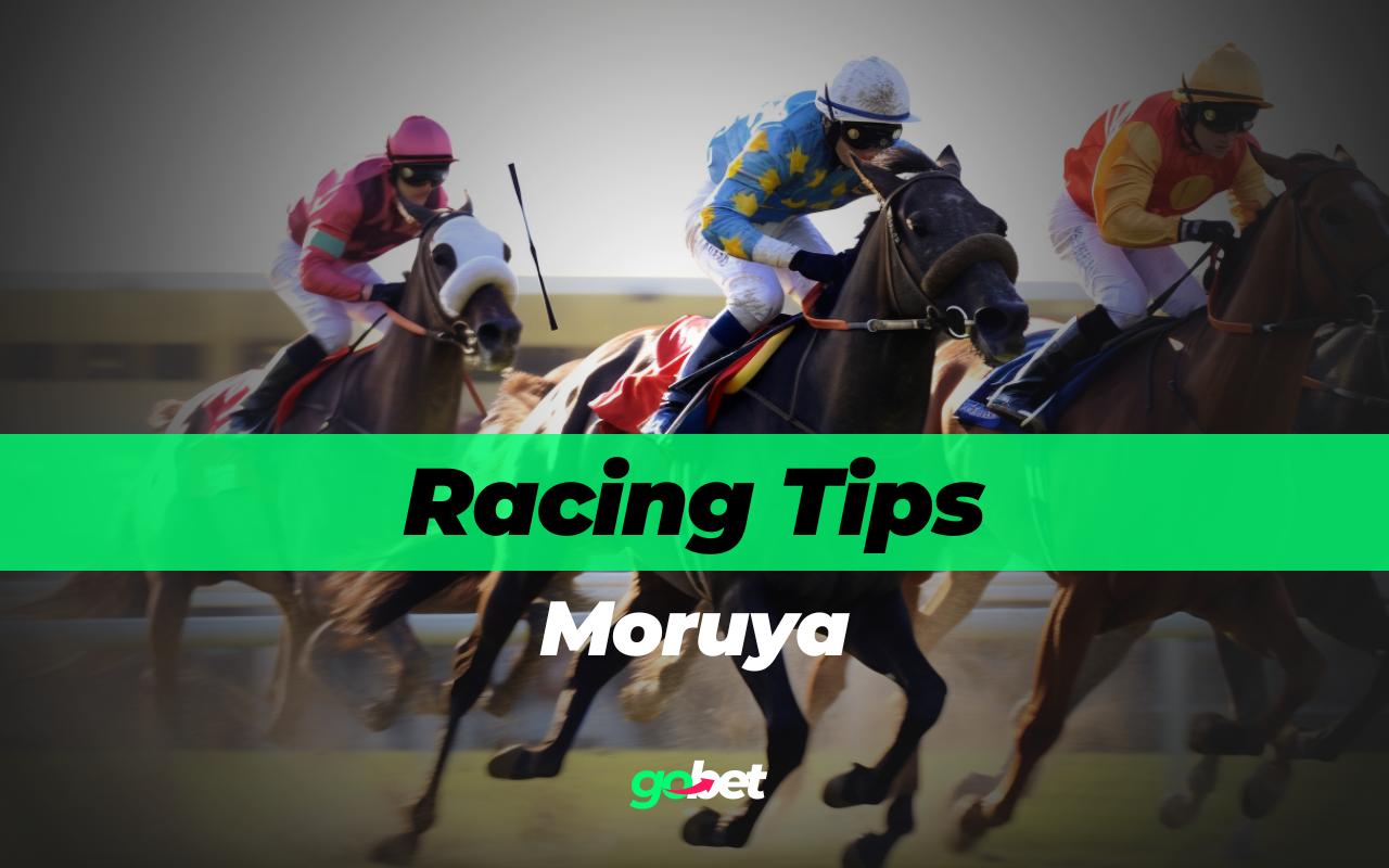 gobet moruya racing tips