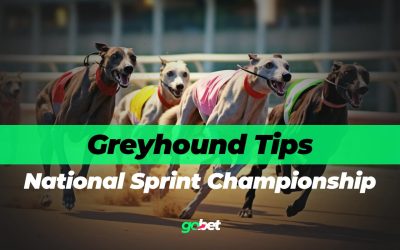 gobet national sprint championship final tips