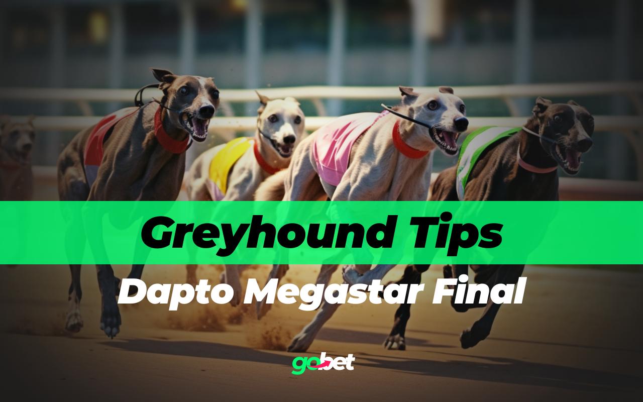 gobet dapto megastar final tips