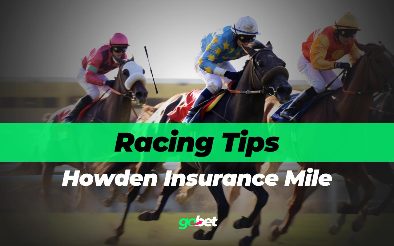 gobet howden insurance mile tips