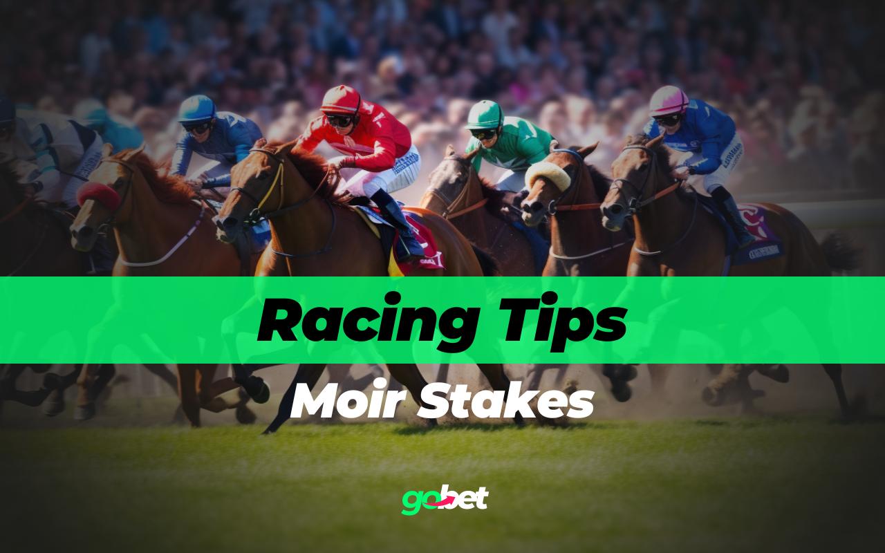 gobet moir stakes tips