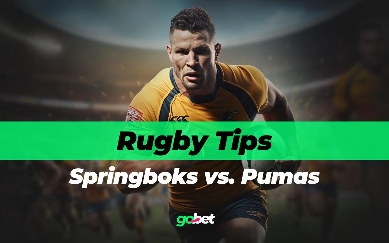 gobet springboks vs pumas rugby tips