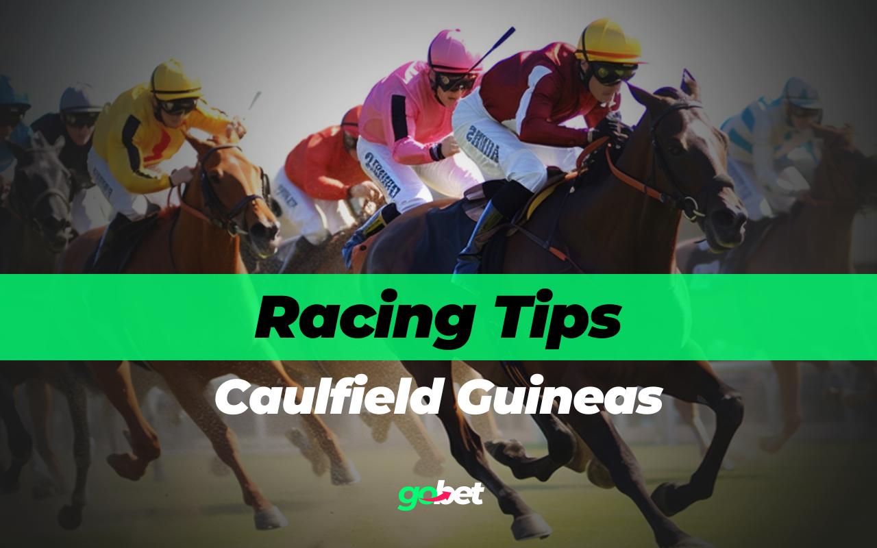 gobet caulfield guineas tips