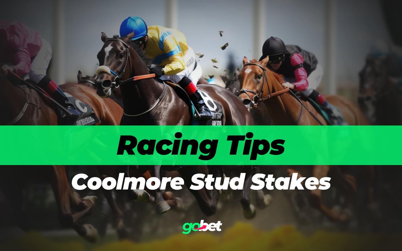 gobet coolmore stud stakes tips