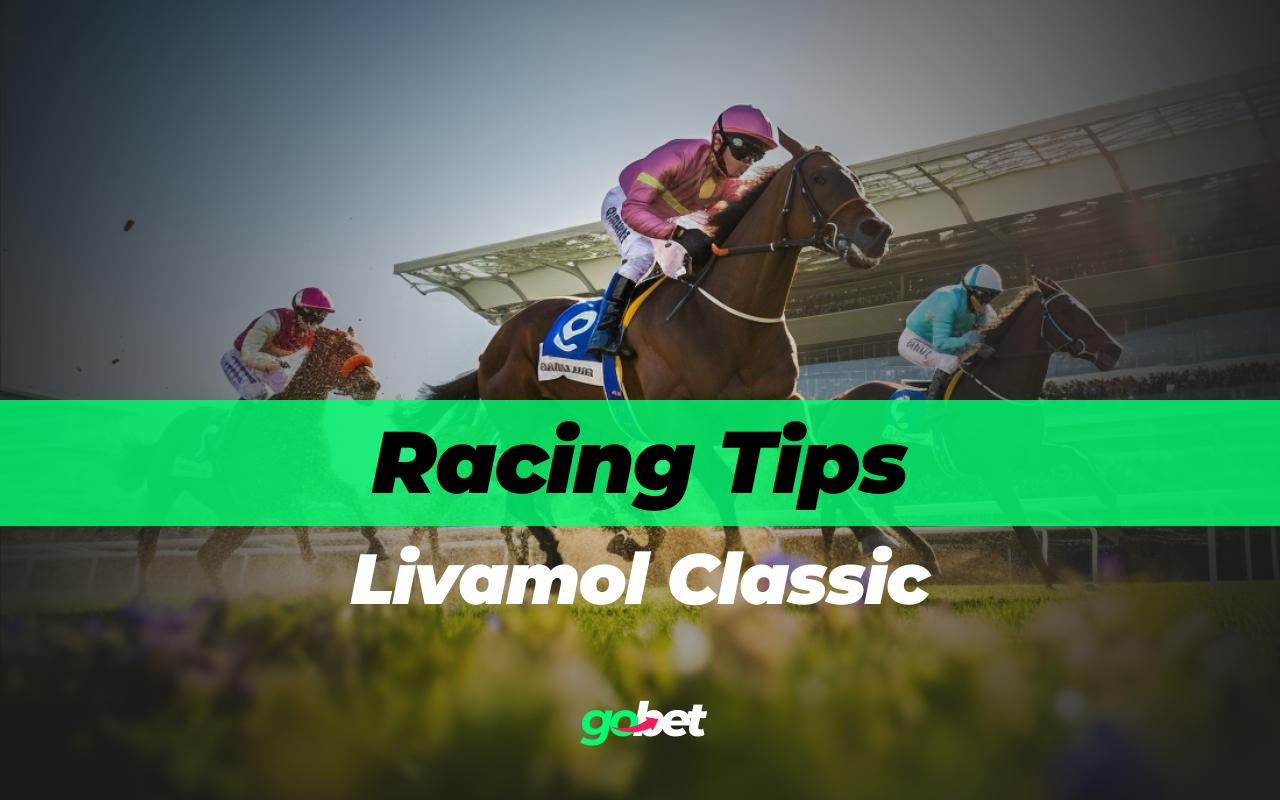 gobet livamol classic tips