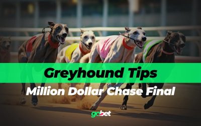 gobet million dollar chase final tips