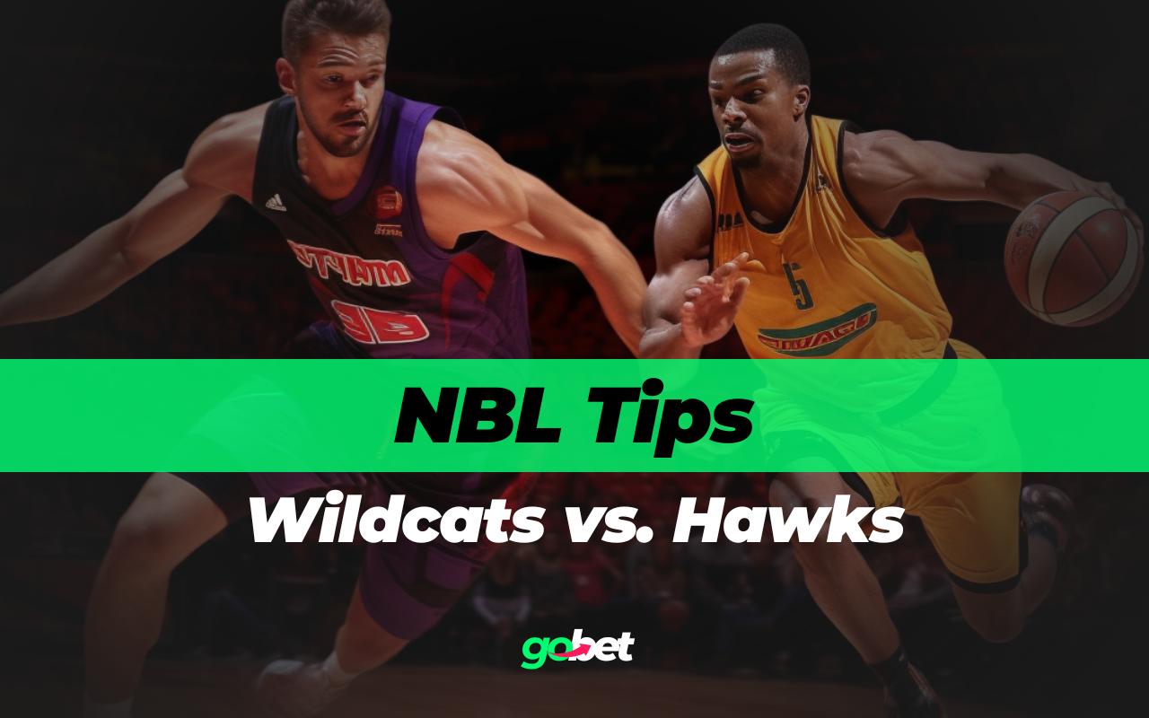 gobet wildcats vs hawks nbl tips