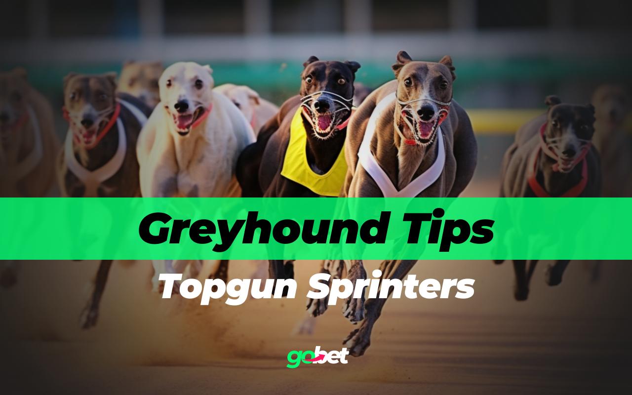 gobet topgun sprinters tips