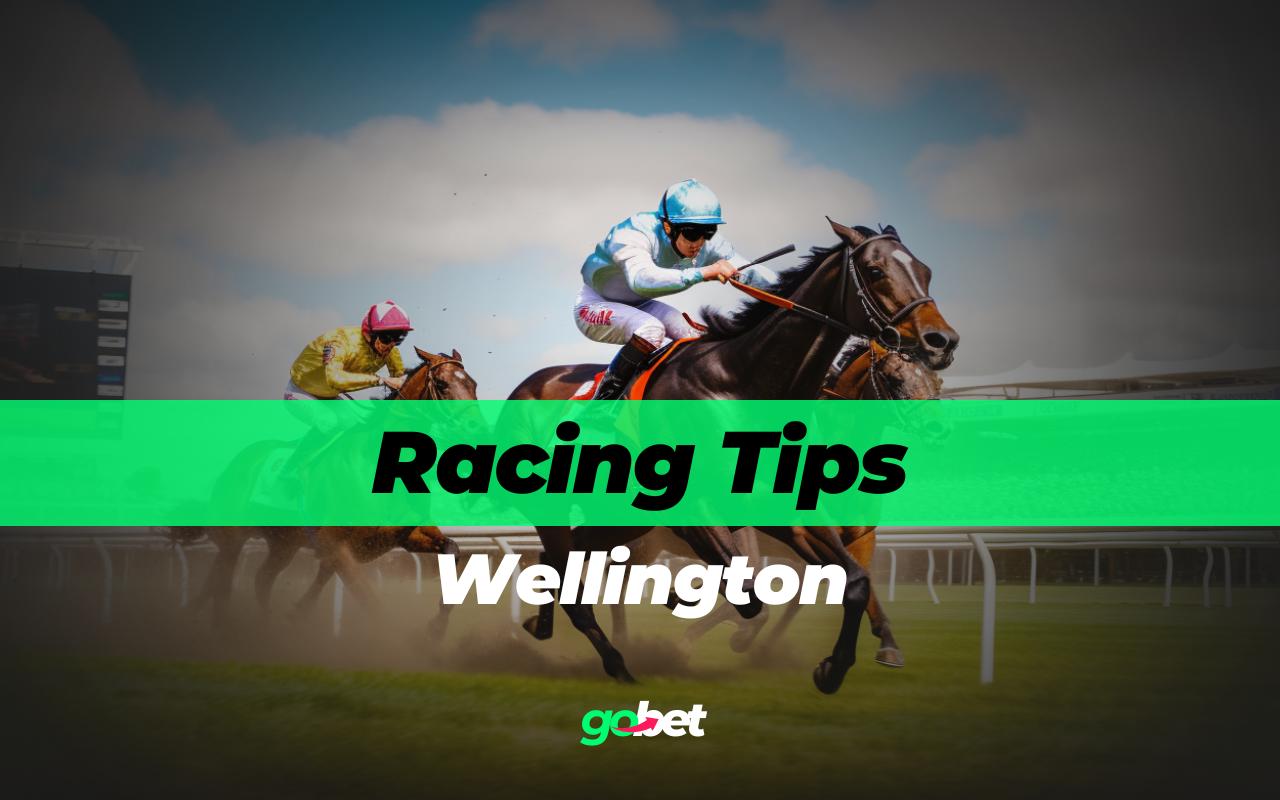 gobet wellington racing tips