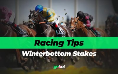 gobet winterbottom stakes tips