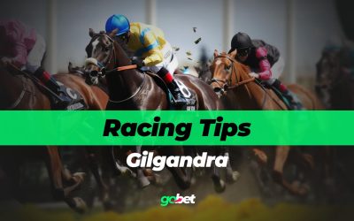 gobet gilgandra racing tips