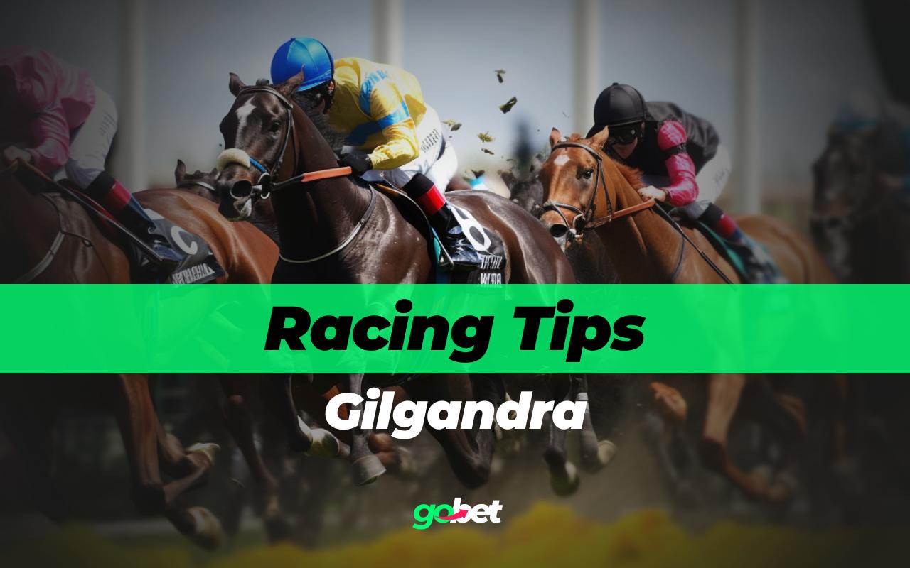 gobet gilgandra racing tips