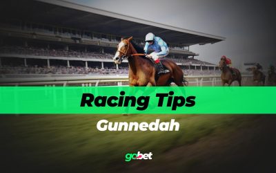 gobet gunnedah racing tips