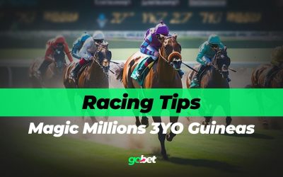 gobet magic millions 3yo guineas tips