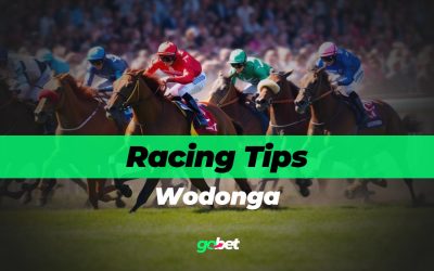 gobet wodonga racing tips