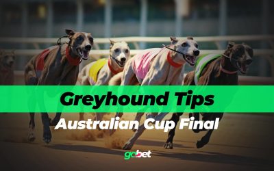 gobet australian cup final tips