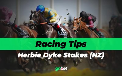 gobet herbie dyke stakes tips