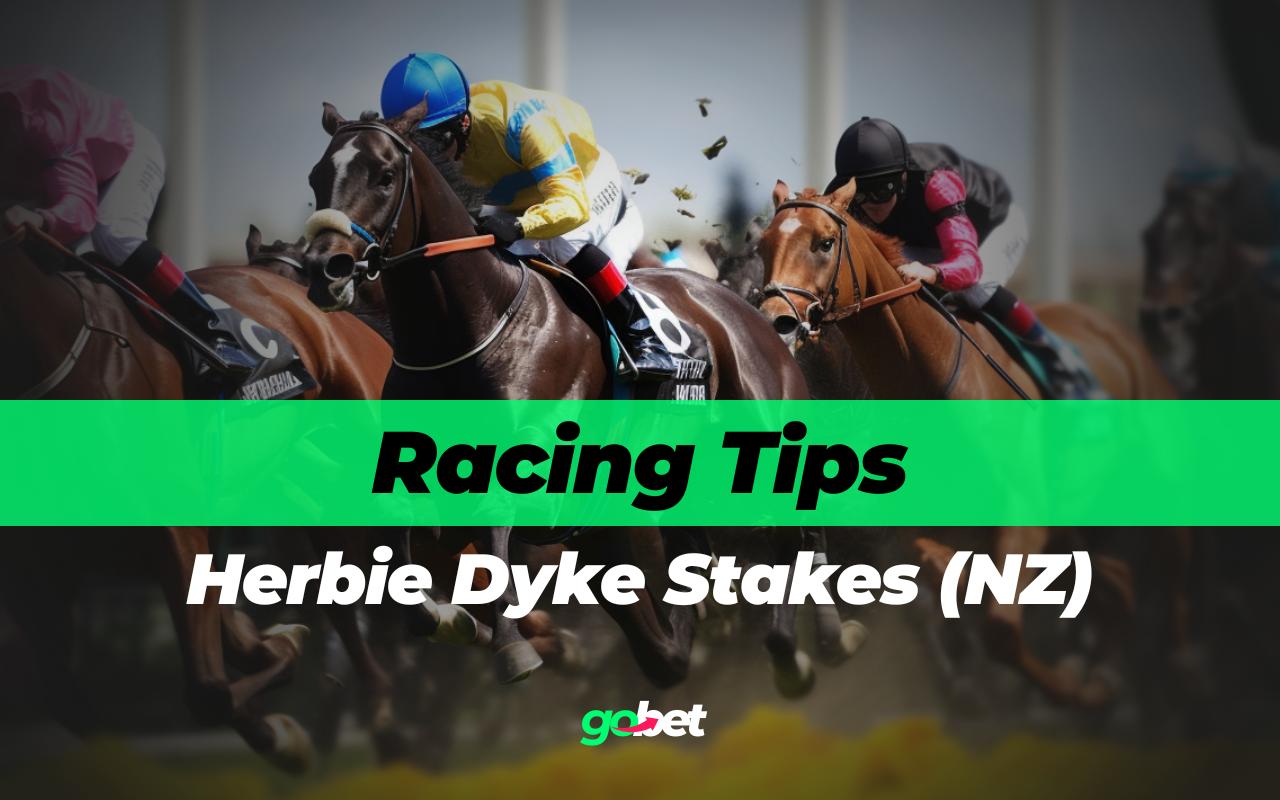 gobet herbie dyke stakes tips