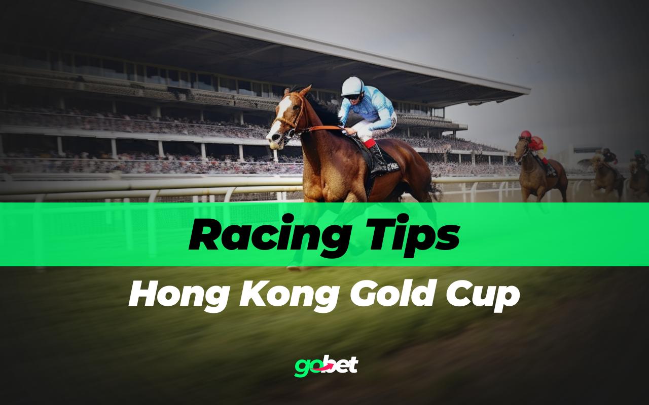 gobet hong kong gold cup tips