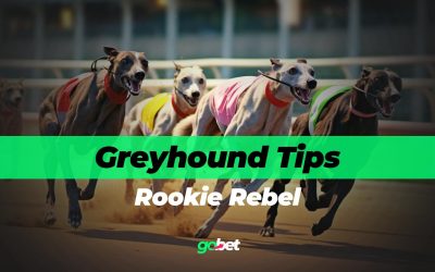 gobet rookie rebel tips