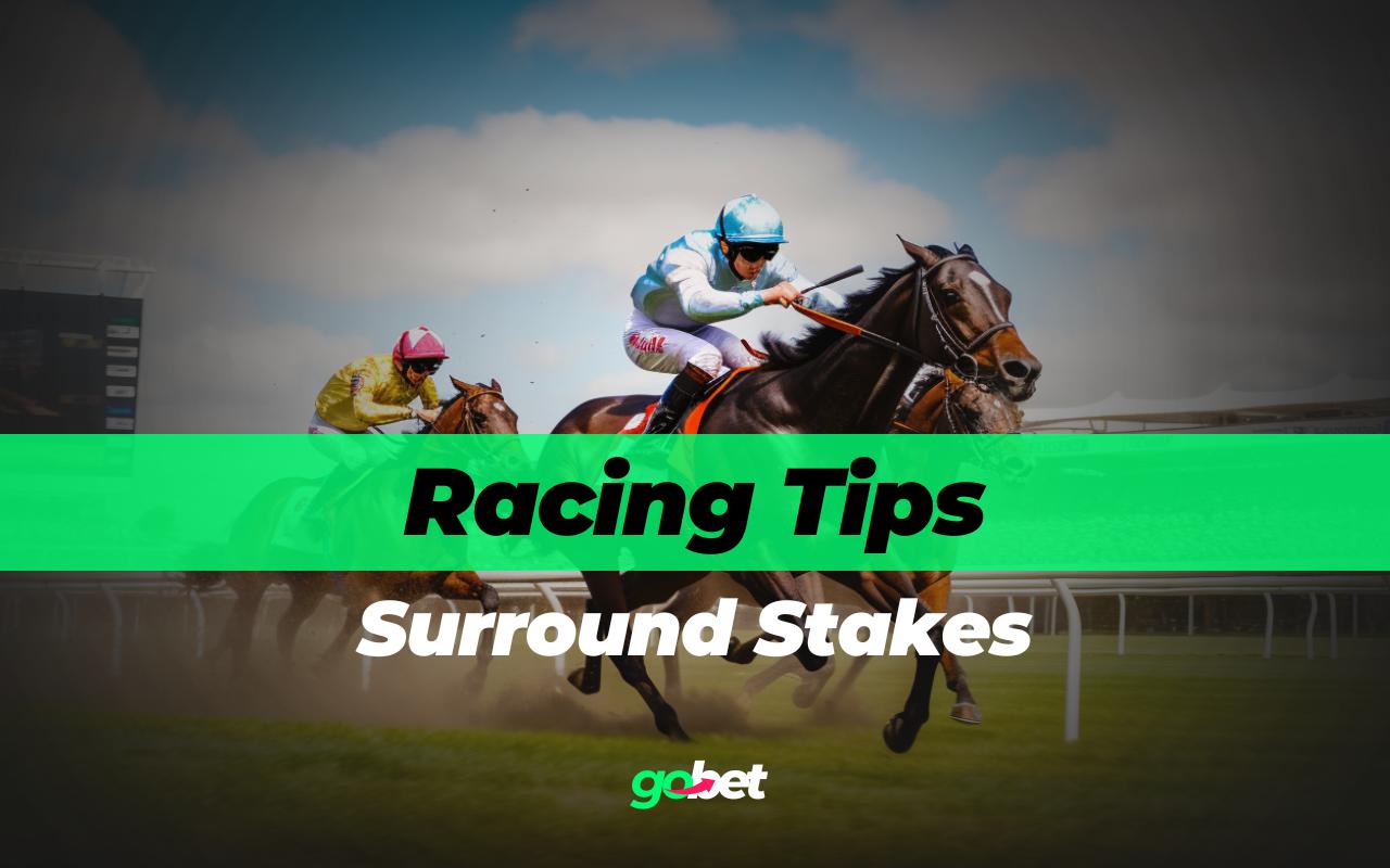 gobet surround stakes tips