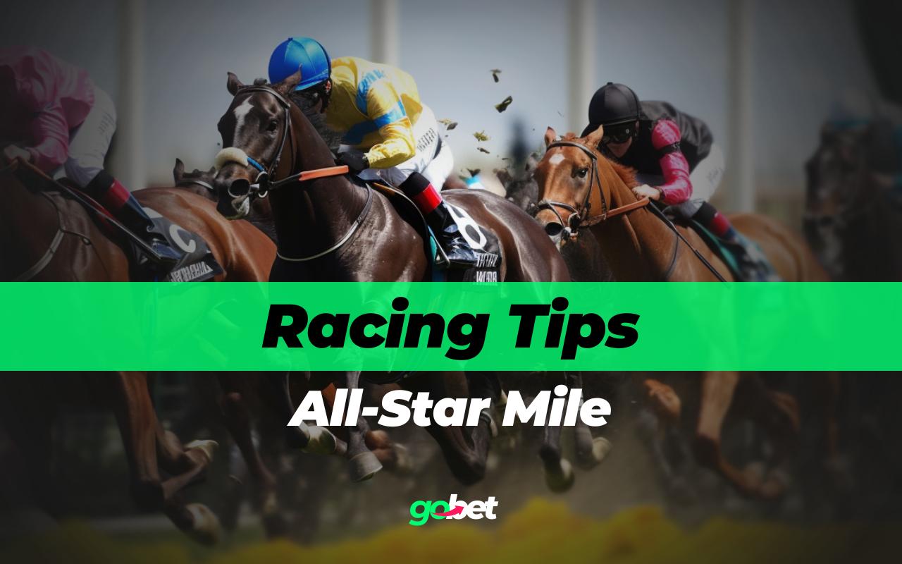 gobet all star mile tips