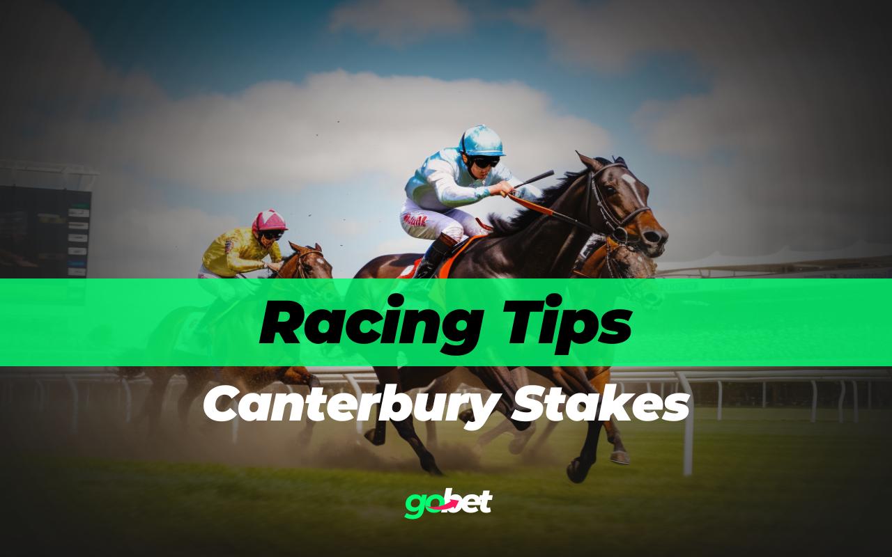 gobet canterbury stakes tips