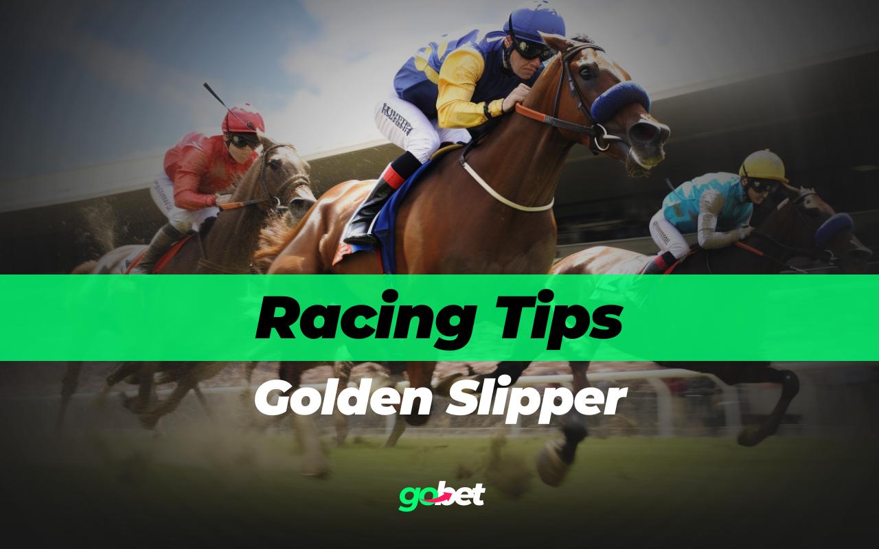 gobet golden slipper tips