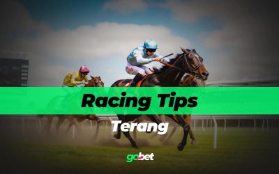 gobet terang racing tips