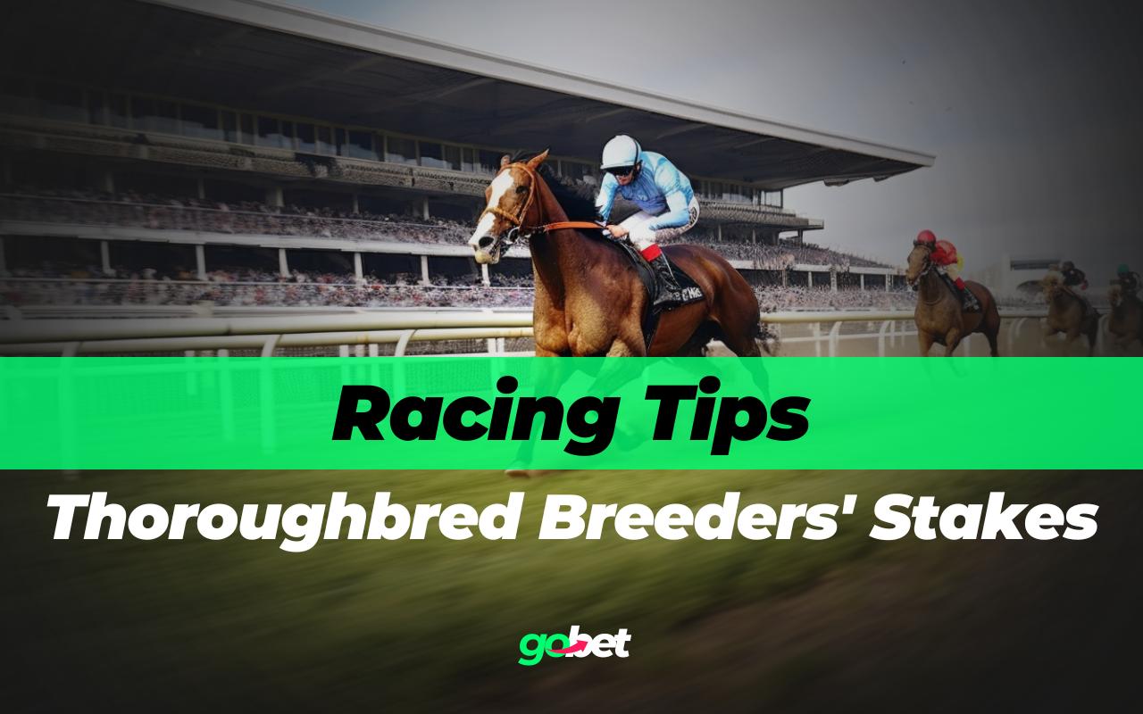 gobet thoroughbred breeders' stakes tips
